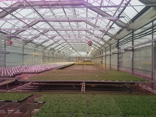Triple H Electric – project photo 10