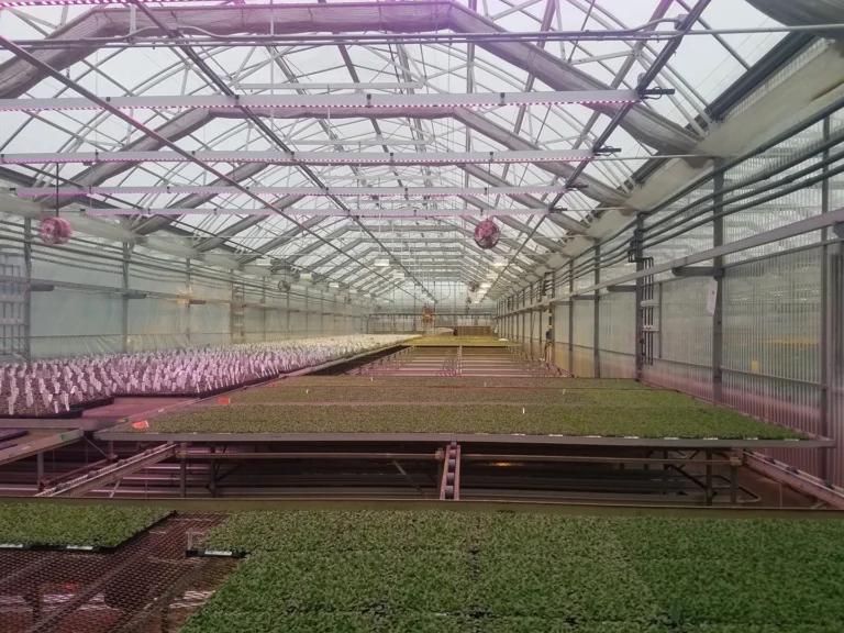 Universal Power & Electric – project photo 8