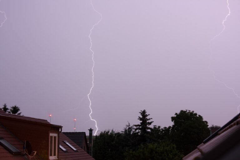 Whole-Home Surge Protection: NEC Rules and Limits